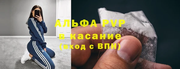 гашик Аркадак