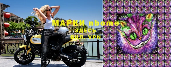 гашик Аркадак